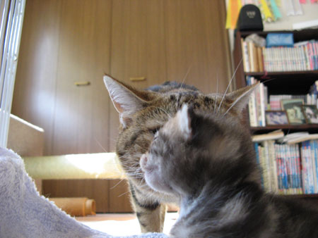 b0053021_23564148.jpg