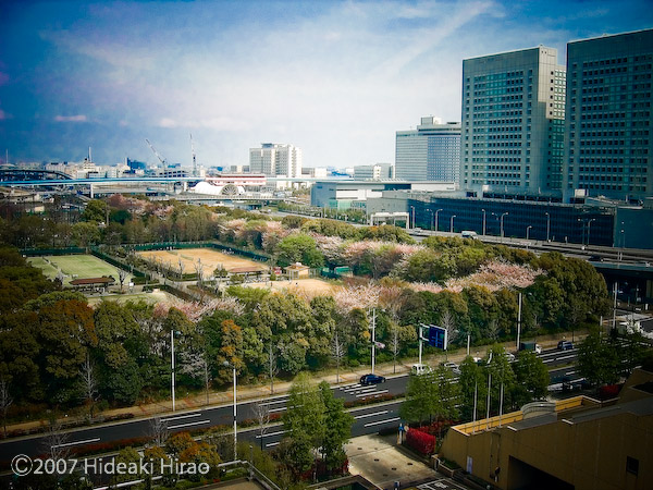 f0077521_1637870.jpg