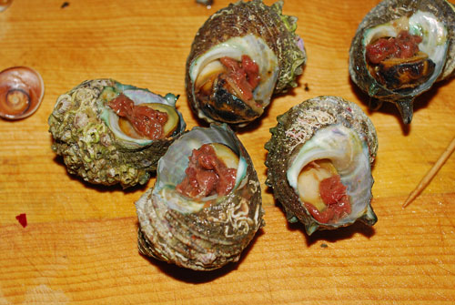 姫サザエのイタリアンな壷焼き風 魚屋三代目日記