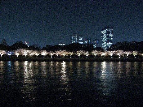 通り抜けの桜 続報_f0128542_0351472.jpg
