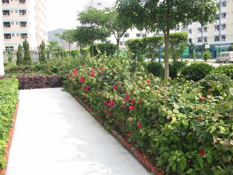 e0026744_16202717.jpg