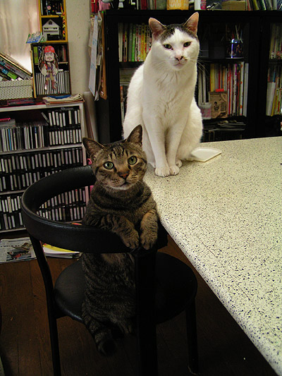 久しぶりのはらへりーず（レオじい＆ヨウカンさん）_a0028451_26966.jpg