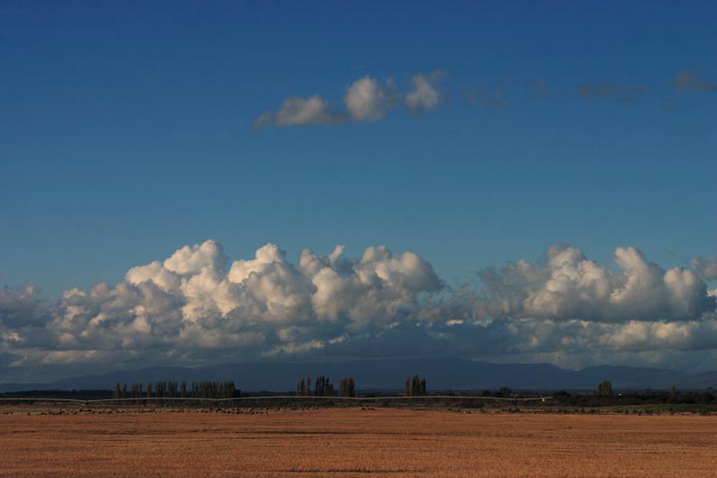f0137354_4304777.jpg