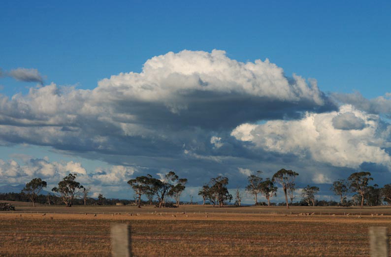 f0137354_43136100.jpg