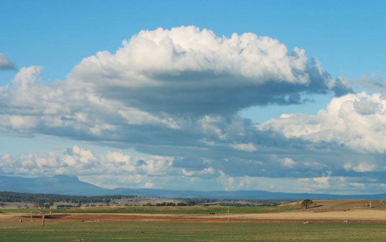 f0137354_4321736.jpg