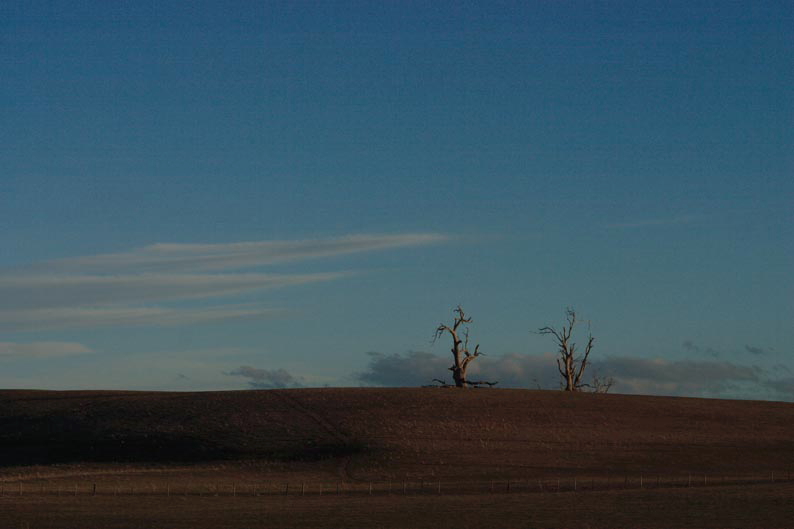 f0137354_4335611.jpg
