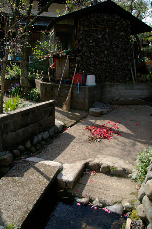 d0100156_2056593.jpg