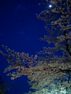 b0033175_1175268.jpg