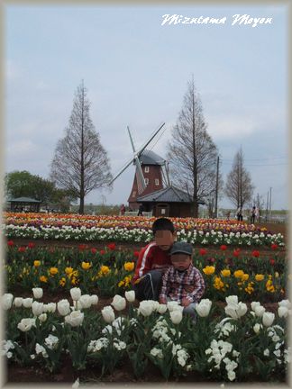 f0079190_1063161.jpg