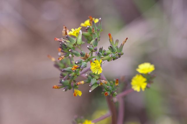 e0070891_22475928.jpg
