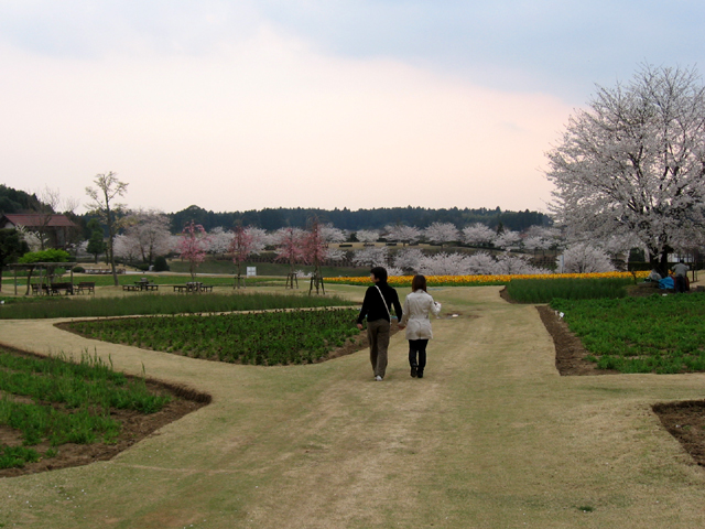 手をつないで_f0096000_282329.jpg