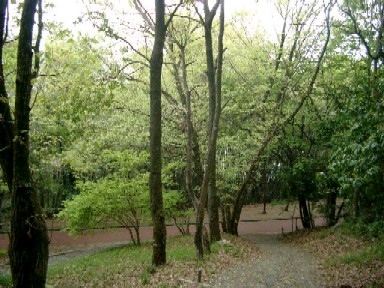 a0040103_18232274.jpg