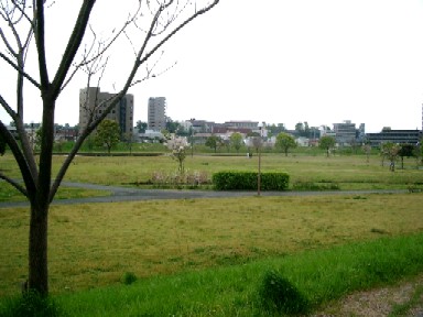 a0040103_1849281.jpg