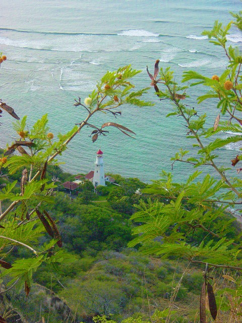 真似っ子_a0036808_14115878.jpg