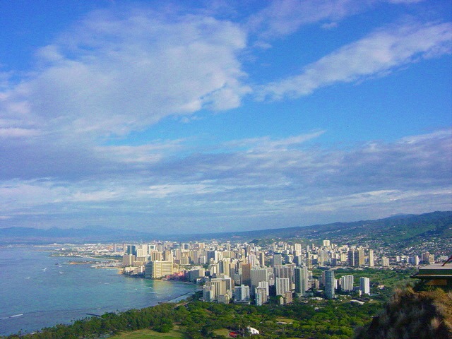 真似っ子_a0036808_1491986.jpg