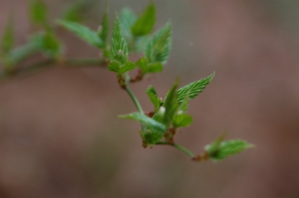 e0114815_16304671.jpg