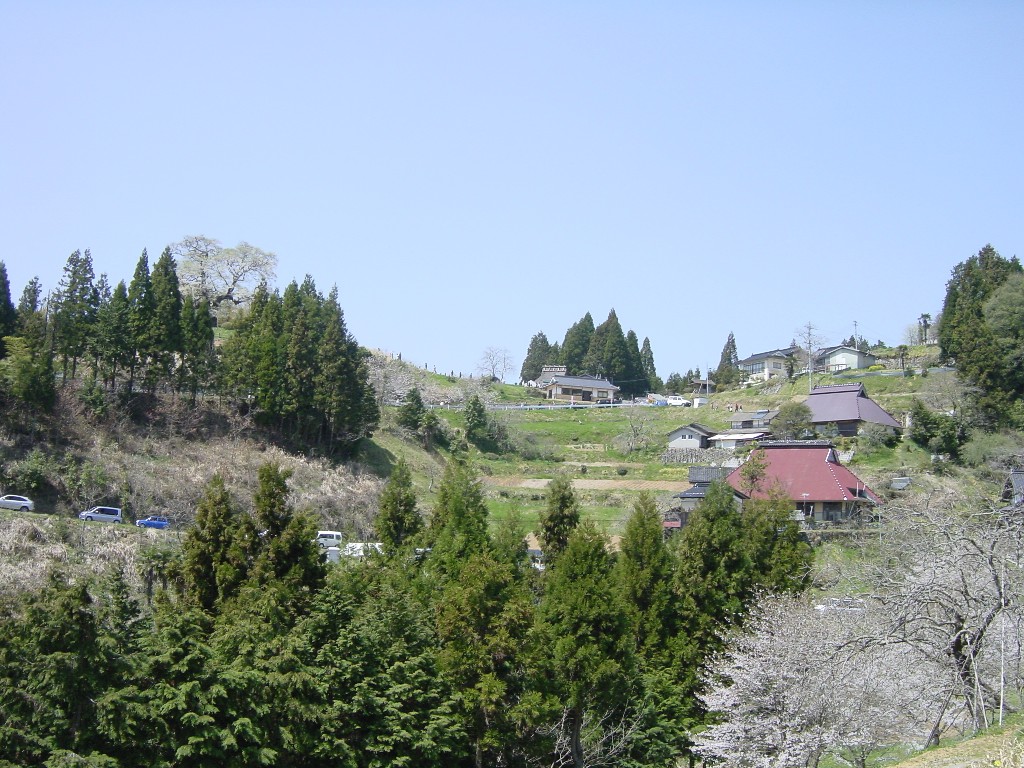 f0053218_941057.jpg