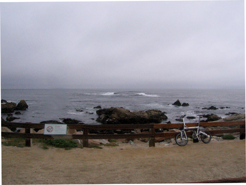 e0089826_83551.jpg