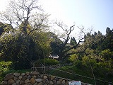 d0086228_10551749.jpg