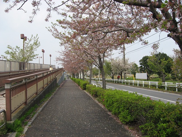 昨日の桜・・　_f0099231_10573297.jpg