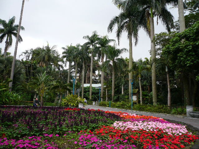 c0110550_22522737.jpg