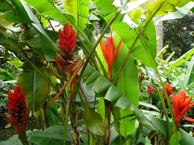c0110550_22524383.jpg