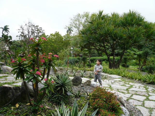 c0110550_22534756.jpg