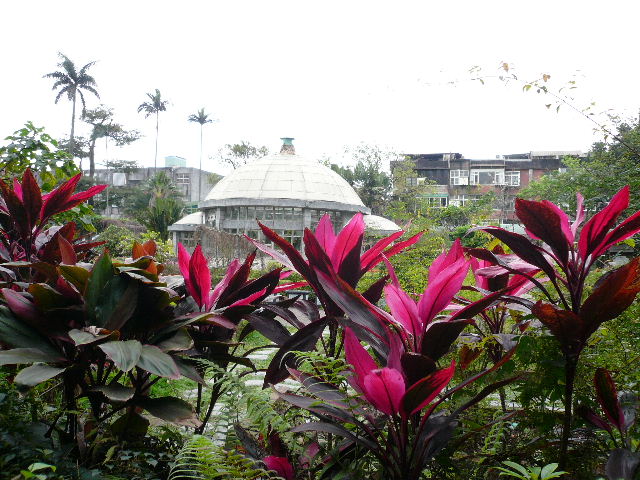 c0110550_2254137.jpg