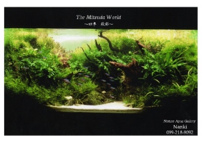 特別企画 壁紙プレゼント 水景画の世界 Mitsuda Worldへようこそ