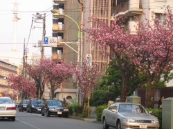 断面図_f0088082_19571210.jpg