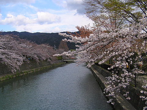 京都市美術館_c0009190_22134955.jpg