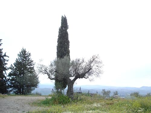 c0010496_17165735.jpg