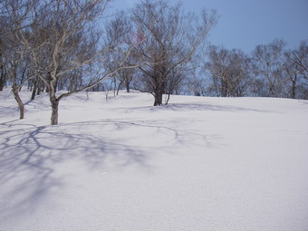 f0128410_9141330.jpg