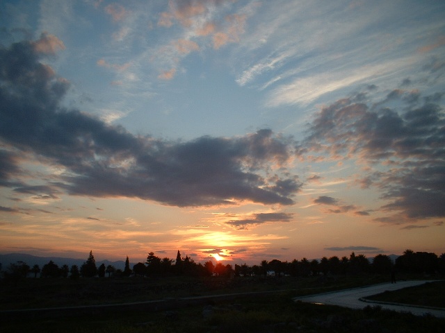 f0102613_181805.jpg