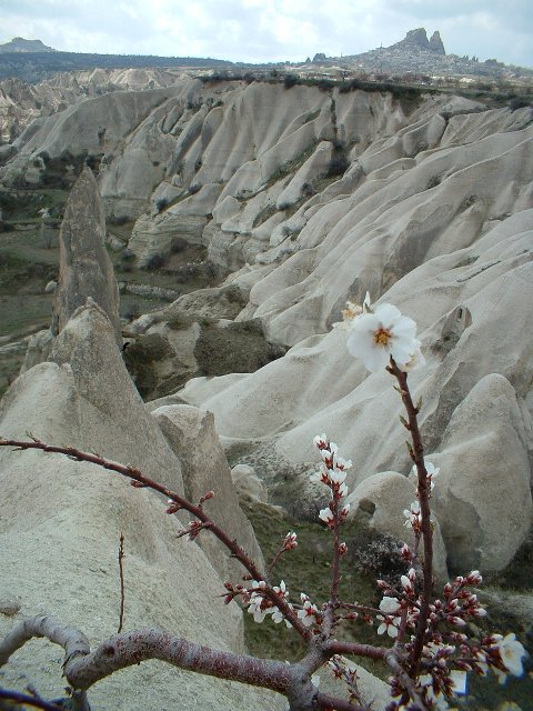 f0102613_18271718.jpg