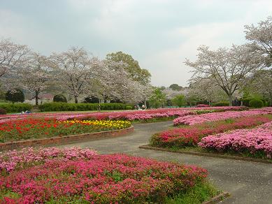 d0048215_22211028.jpg
