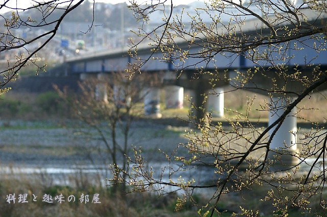 帰り道に通勤で使って居る橋を下から覗きました！！_b0033423_1243028.jpg