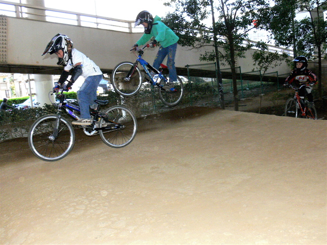 ふらっとゴリラ公園に寄ったら..._b0065730_23431546.jpg