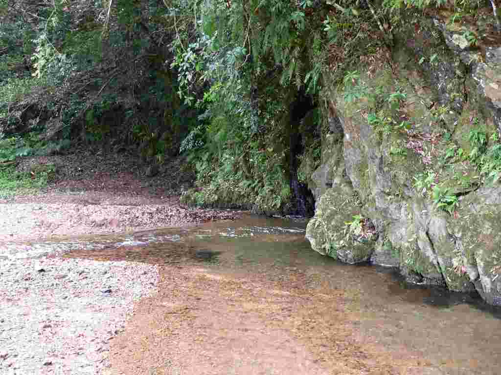 d0053930_61614.jpg