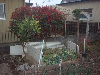 f0031037_20195393.jpg