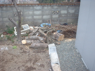 f0031037_2020113.jpg