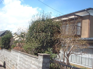 f0031037_20224052.jpg