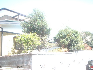f0031037_20224914.jpg