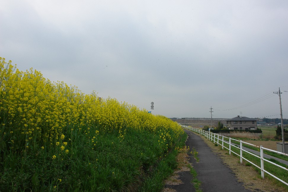 b0088444_23342090.jpg