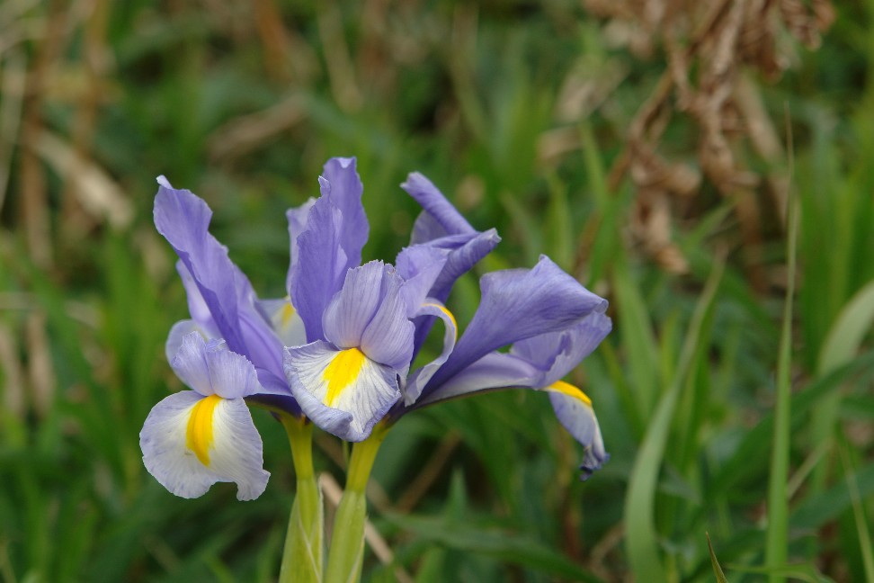 b0088444_23425450.jpg
