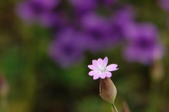 b0088444_23435913.jpg