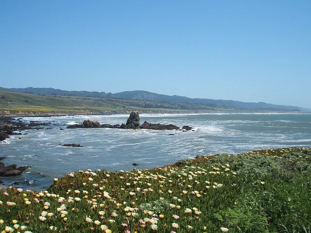 c0115366_2471829.jpg