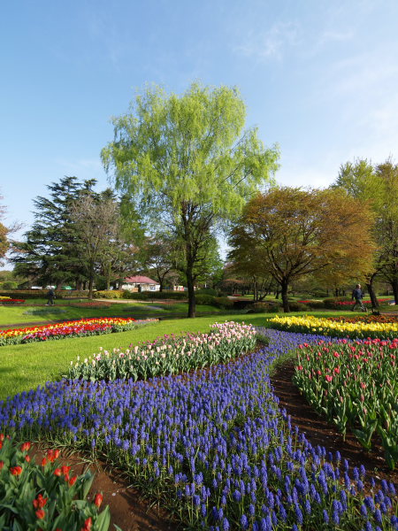 Flower Festival 2007@昭和記念公園_a0027275_18111665.jpg