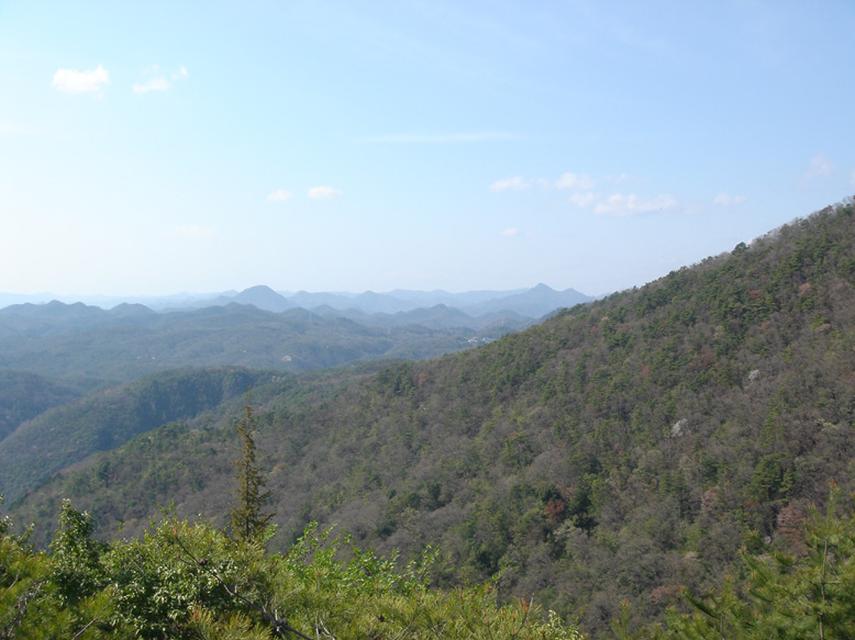 a0004180_23315523.jpg