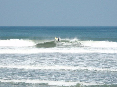 b0078598_2147457.jpg